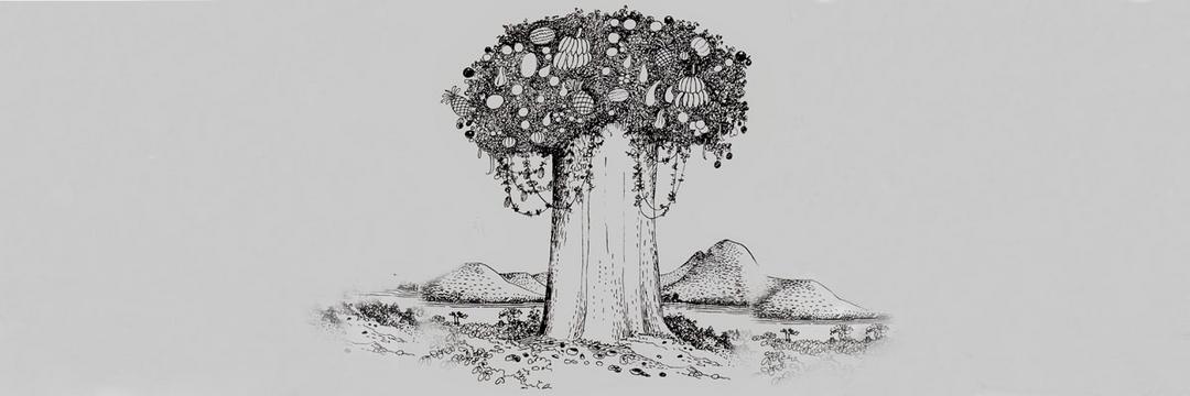 A Árvore de Todos os Frutos